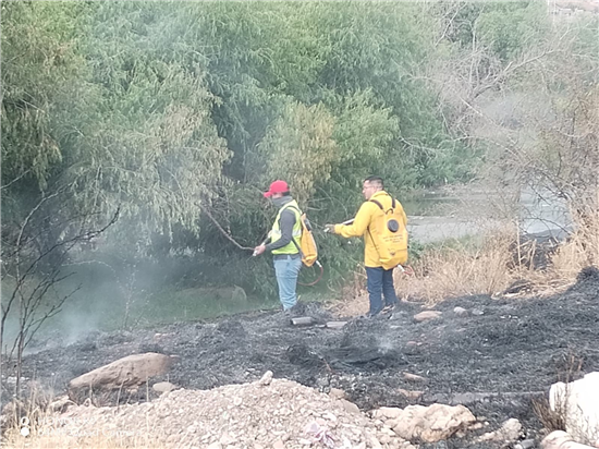 Sofocan incendio de pastizal en carretera Chihuahua-Aldama con afectación de una hectárea - imagen 4