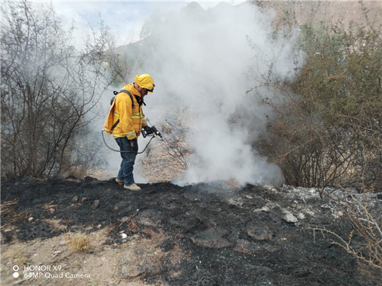 Sofocan incendio de pastizal en carretera Chihuahua-Aldama con afectación de una hectárea - imagen 5