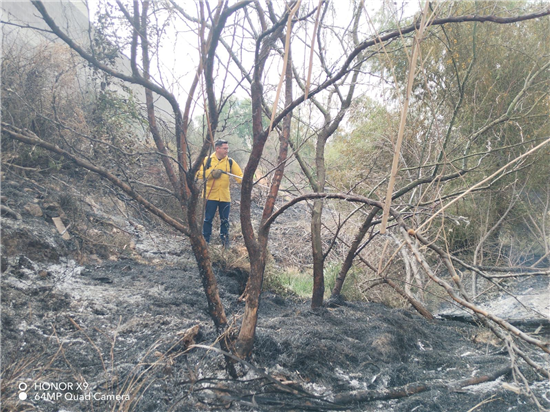 Sofocan incendio de pastizal en carretera Chihuahua-Aldama con afectación de una hectárea - imagen 7