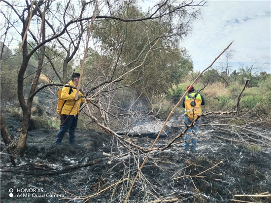 Sofocan incendio de pastizal en carretera Chihuahua-Aldama con afectación de una hectárea - imagen 6