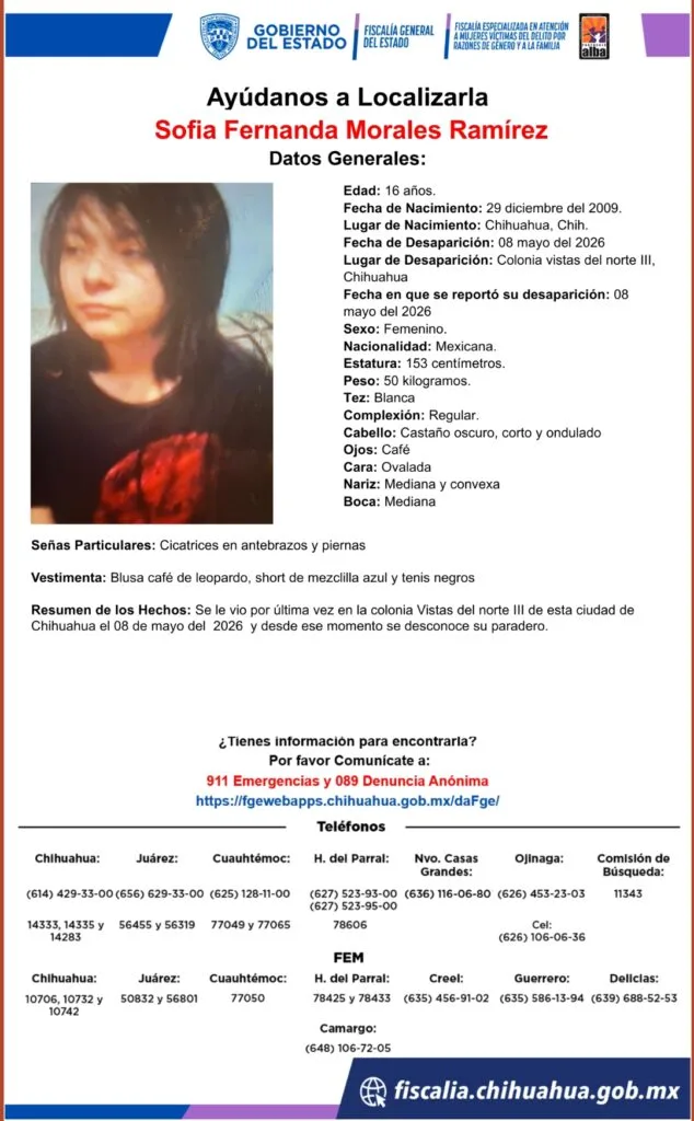 Buscan a Sofía Fernanda, de 16 años, desaparecida en Chihuahua - imagen 1