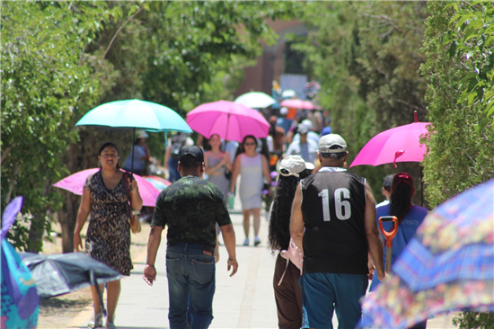 Más de 13 mil personas visitaron los panteones municipales de Chihuahua durante el Día de las Madres - imagen 5