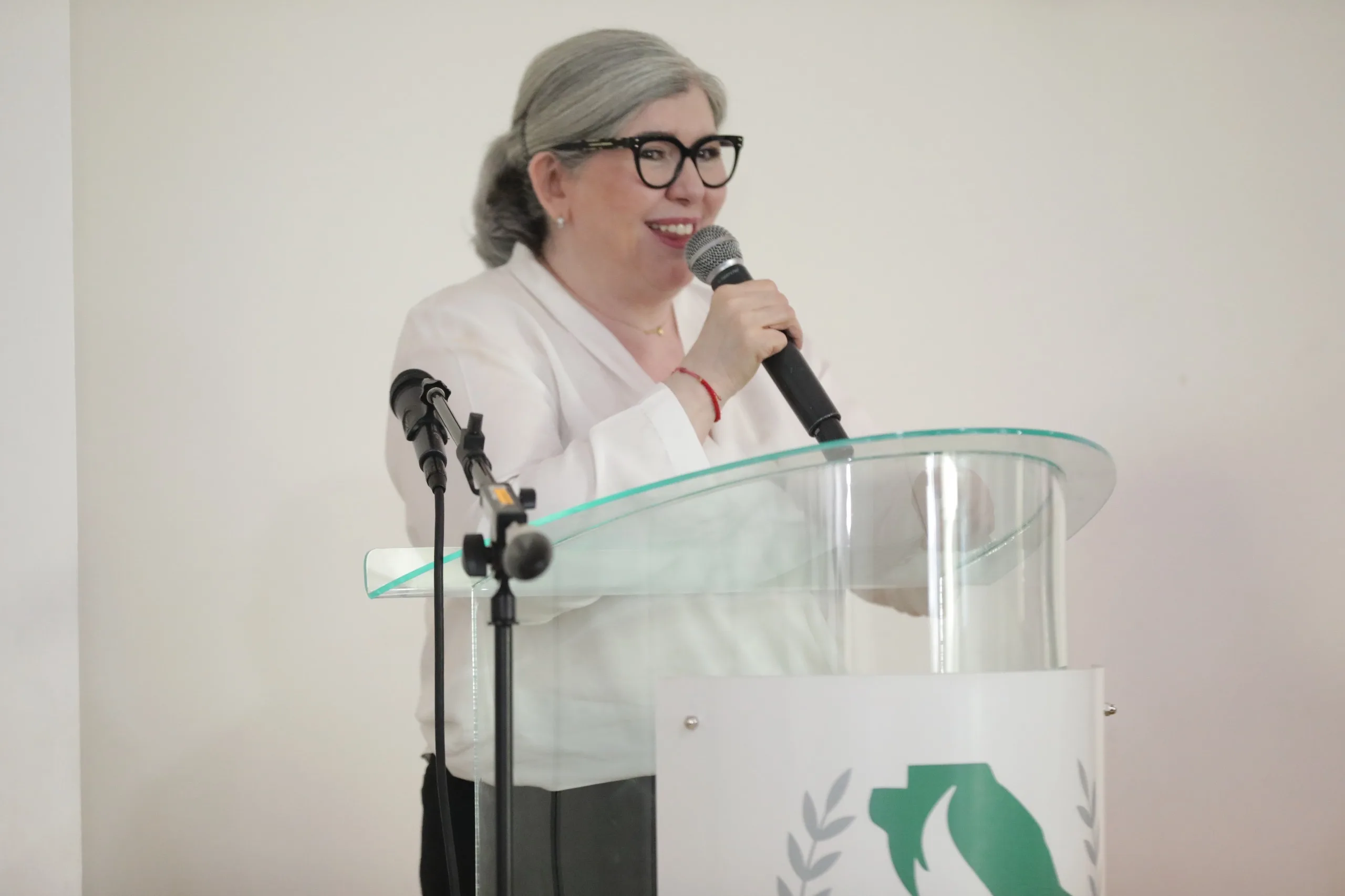 Presentan en Ciudad Juárez guía especializada para acompañar a menores víctimas de violencia sexual - imagen 4