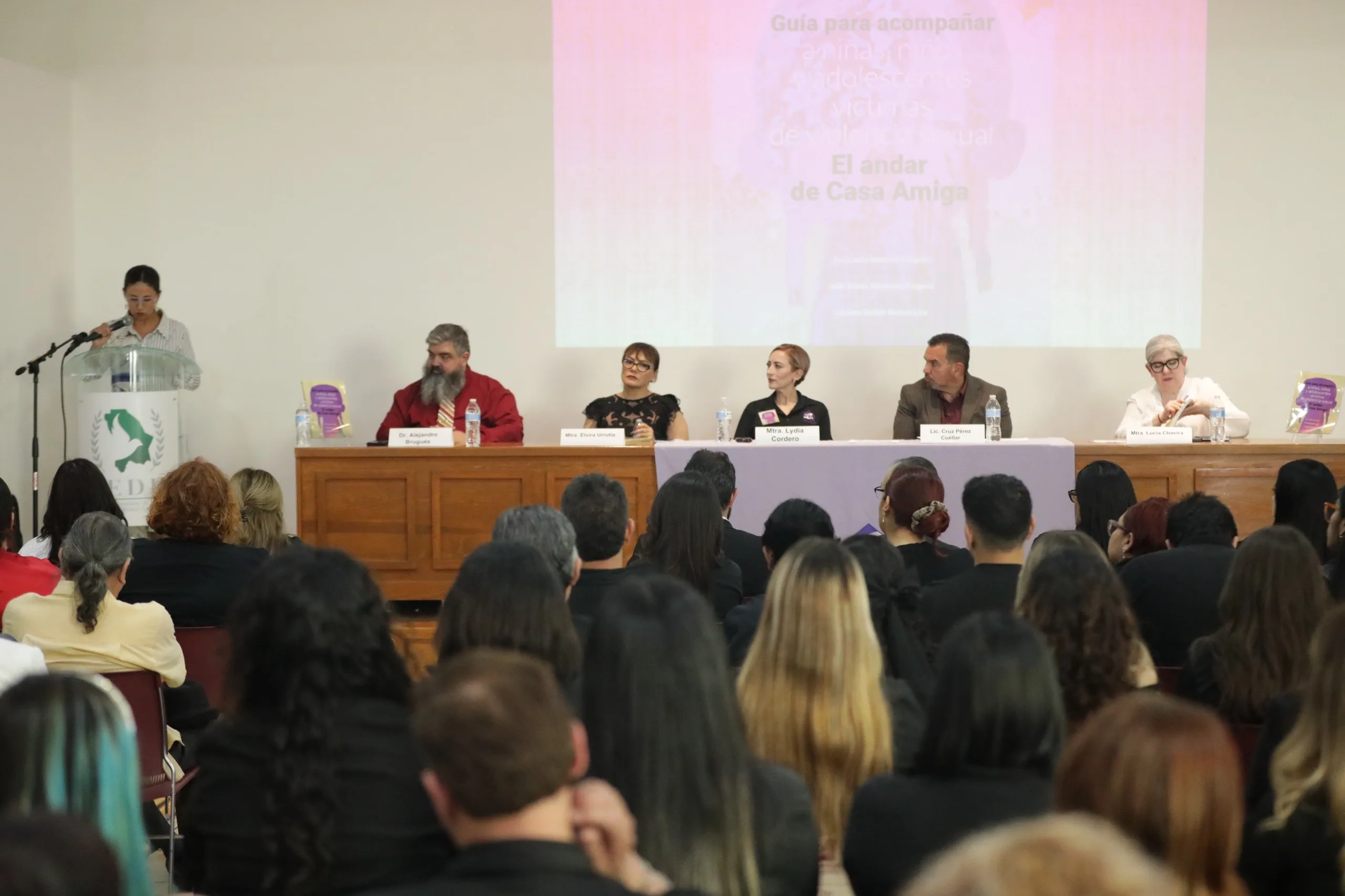 Presentan en Ciudad Juárez guía especializada para acompañar a menores víctimas de violencia sexual - imagen 6
