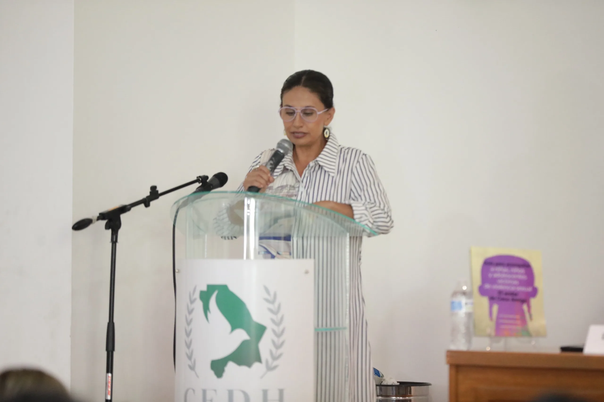Presentan en Ciudad Juárez guía especializada para acompañar a menores víctimas de violencia sexual - imagen 8