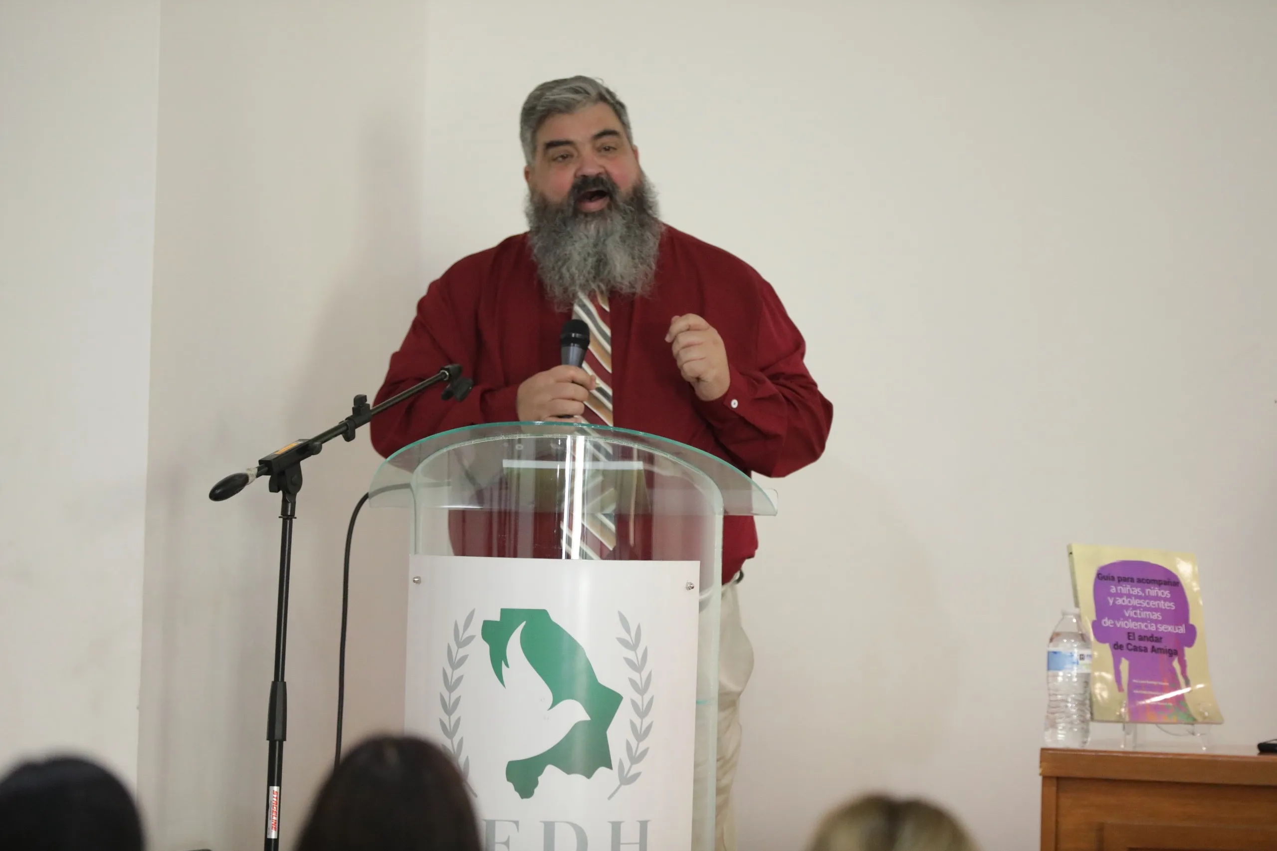 Presentan en Ciudad Juárez guía especializada para acompañar a menores víctimas de violencia sexual - imagen 9