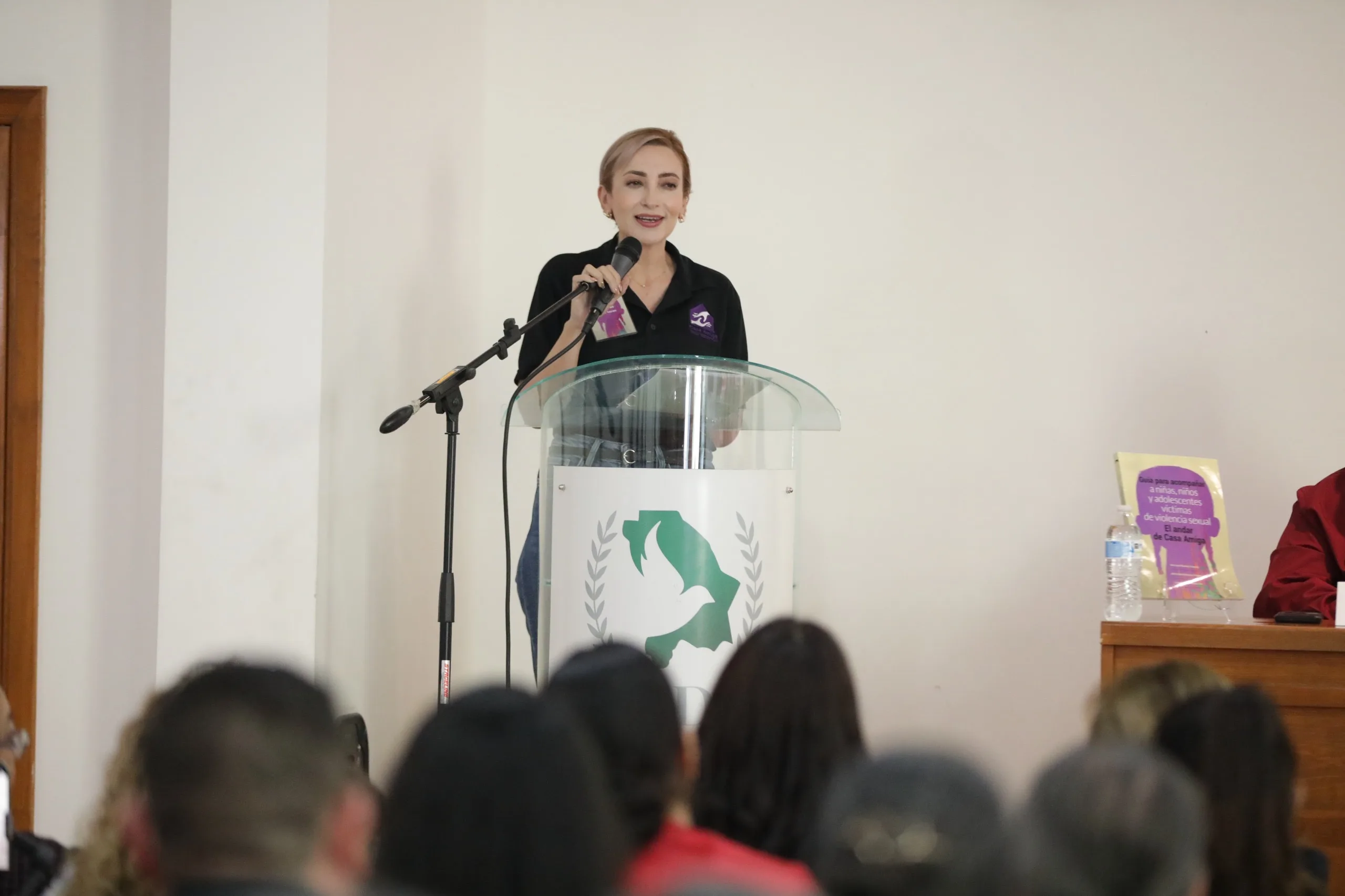 Presentan en Ciudad Juárez guía especializada para acompañar a menores víctimas de violencia sexual - imagen 10