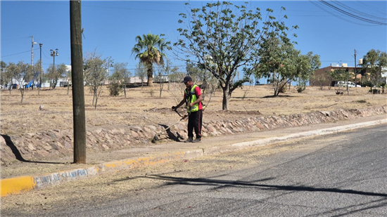 Municipio de Chihuahua mantiene operativos diarios en más de mil 400 parques de la capital - imagen 3