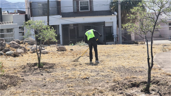 Municipio de Chihuahua mantiene operativos diarios en más de mil 400 parques de la capital - imagen 5