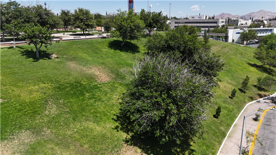 Municipio de Chihuahua mantiene operativos diarios en más de mil 400 parques de la capital - imagen 7