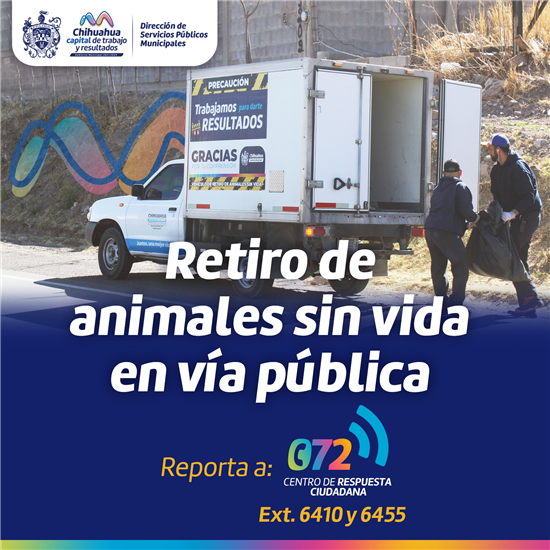 Chihuahua ofrece servicio gratuito de retiro de animales muertos en vía pública y domicilios