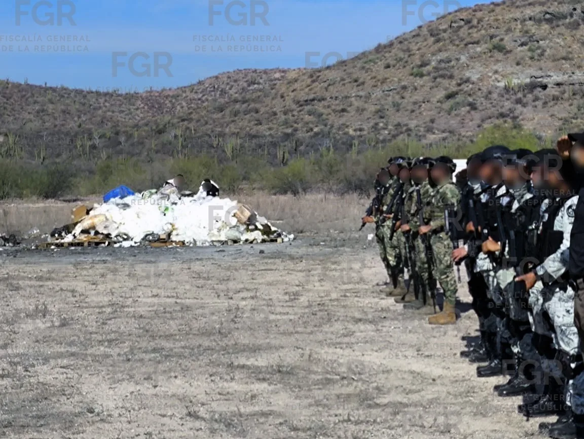 FGR incinera más de 2.6 toneladas de drogas en La Paz, BCS, con valor de 34 millones de pesos - imagen 6