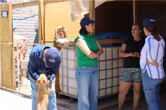 Municipio de Chihuahua distribuye más de 1,500 kilos de alimento a albergues animales tras el Croquetón 2026 - imagen 3