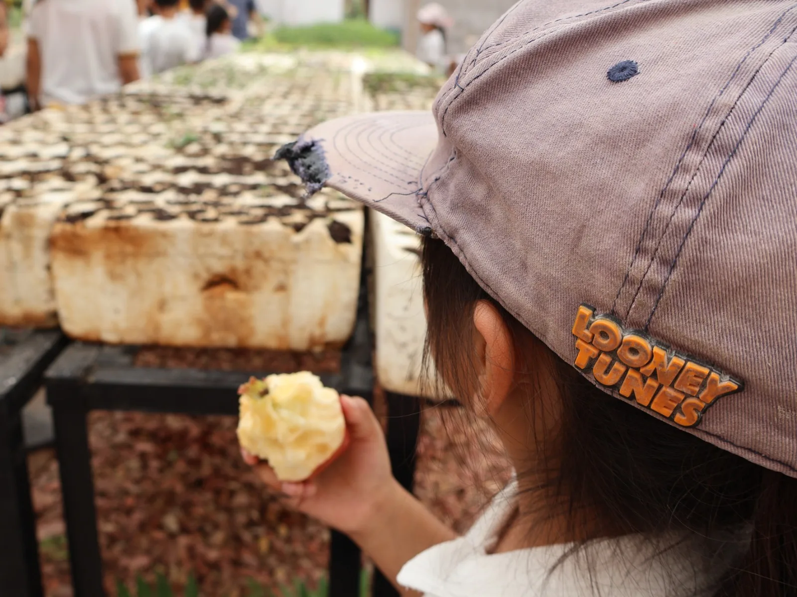 Alumnos de primaria visitan el vivero de El Chamizal para aprender sobre composta y producción de plantas - imagen 1