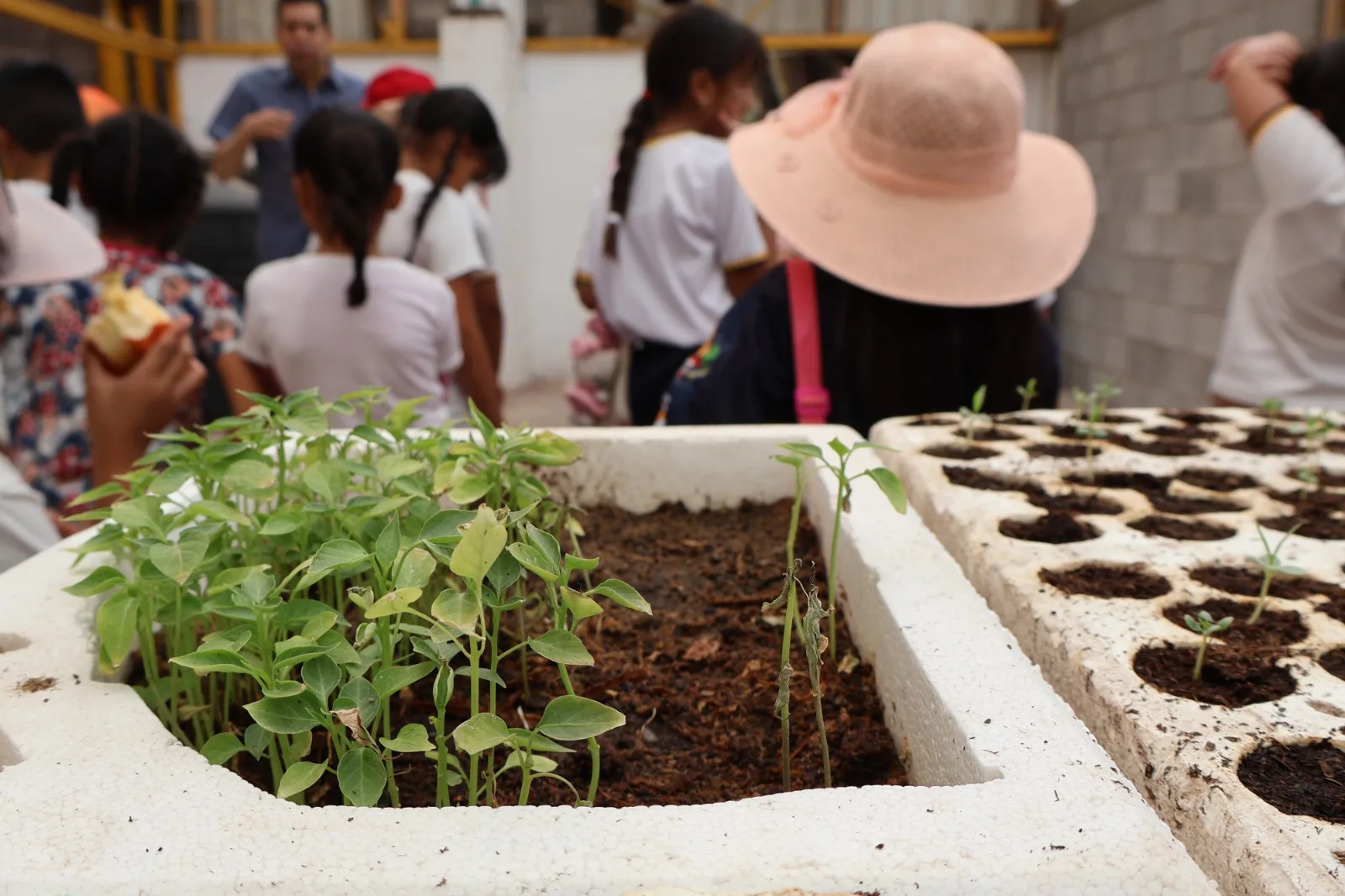 Alumnos de primaria visitan el vivero de El Chamizal para aprender sobre composta y producción de plantas