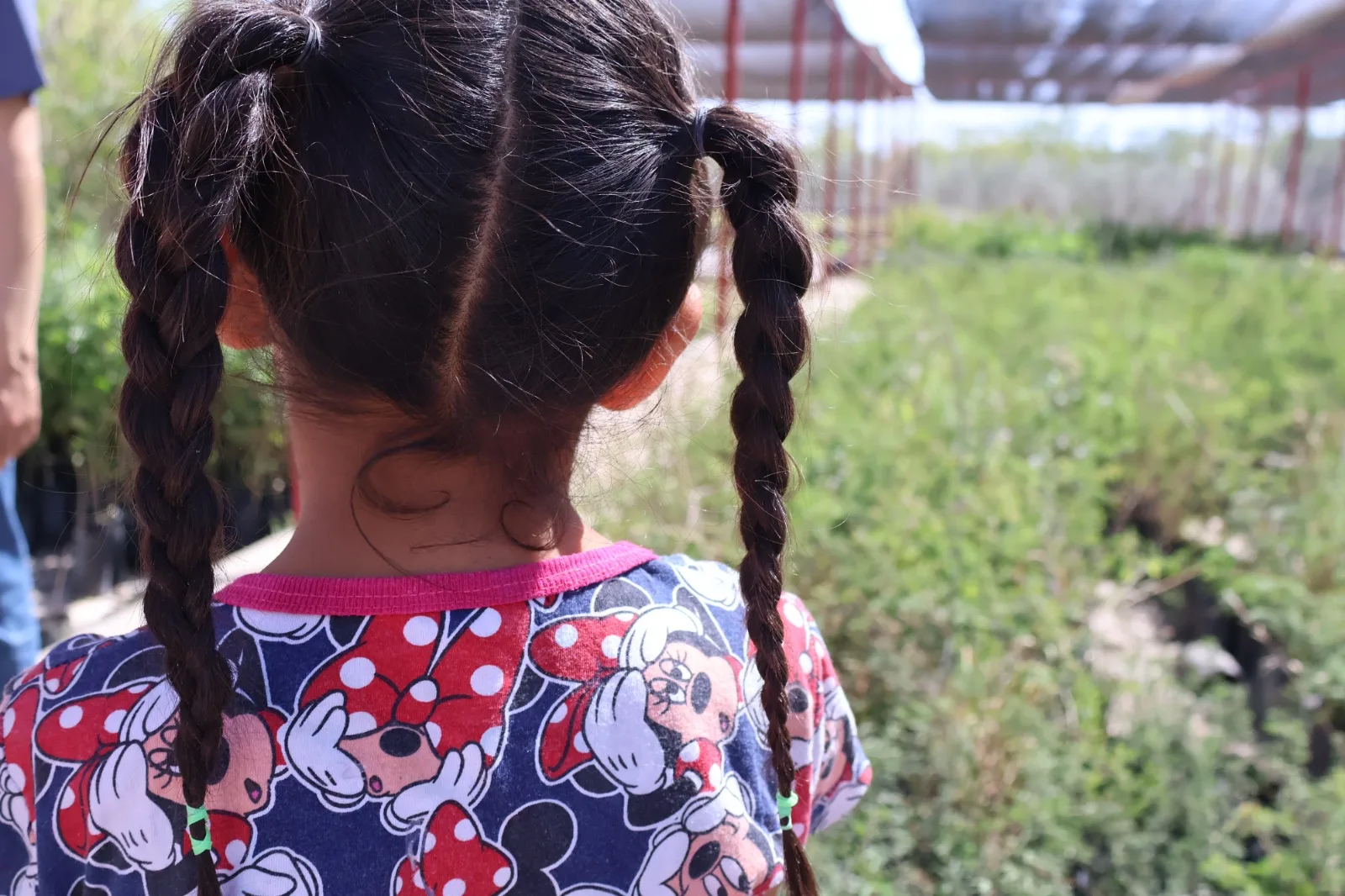 Alumnos de primaria visitan el vivero de El Chamizal para aprender sobre composta y producción de plantas - imagen 2