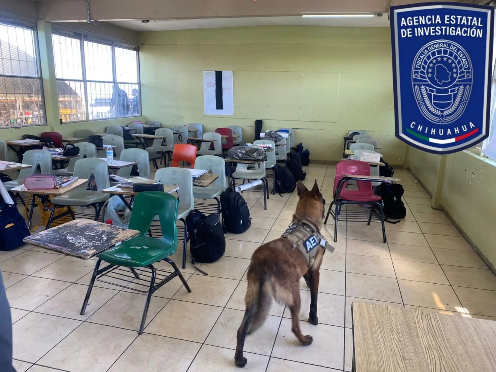 Operativo Mochila en escuelas de Parral y San Francisco del Oro: aseguran cigarros en secundaria - imagen 1