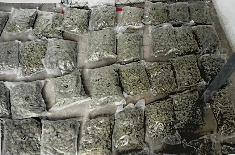Vinculan a proceso a hombre detenido con 66 kilos de marihuana en carretera de San Luis Potosí