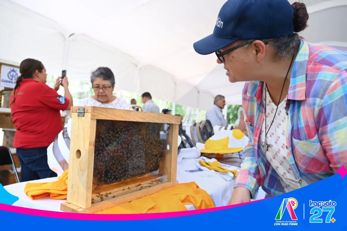 Irapuato conmemora el Día Mundial de las Abejas con premiaciones, equipamiento apícola y jardines polinizadores - imagen 2