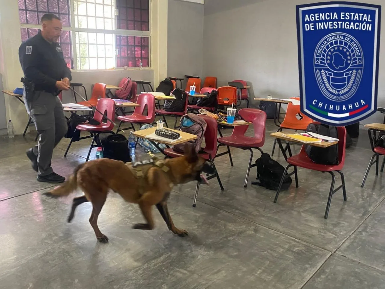 Operativo Mochila en Parral: aseguran cigarrillos electrónicos con cannabis y navajas en dos secundarias