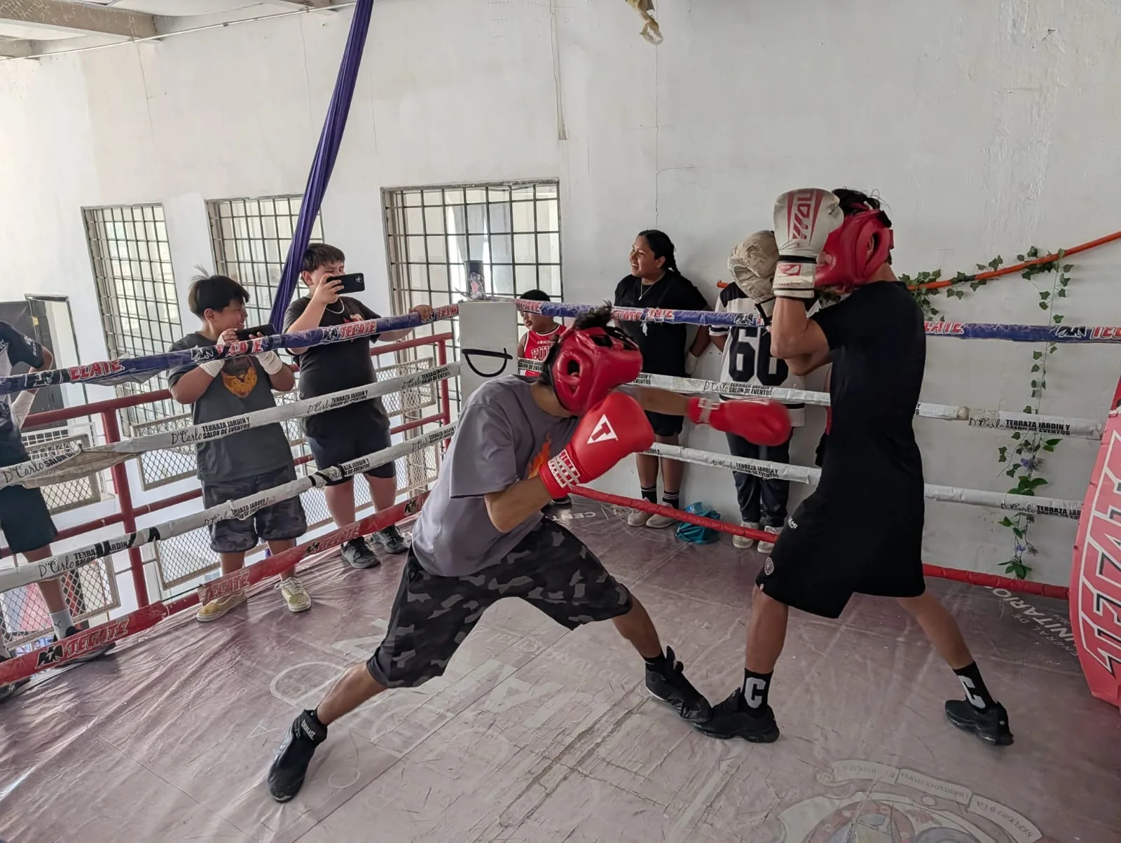 Familias de Ciudad Juárez participan en clase comunitaria de box en el Centro Francisco Villarreal