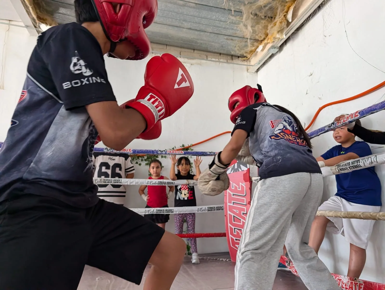 Familias de Ciudad Juárez participan en clase comunitaria de box en el Centro Francisco Villarreal - imagen 3