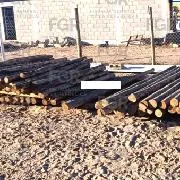 FGR vincula a proceso a presunto traficante de madera en Baja California Sur - imagen 1