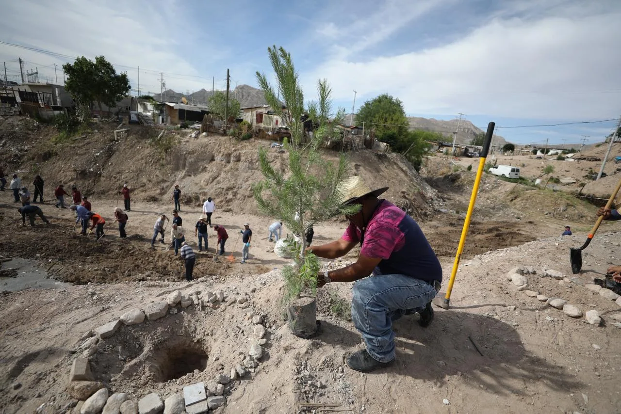 Juárez refuerza limpieza y reforestación en colonia Juanita Luna - imagen 5