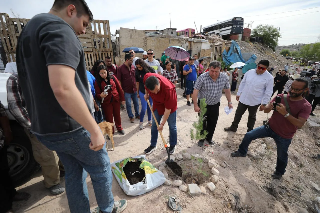Juárez refuerza limpieza y reforestación en colonia Juanita Luna - imagen 4