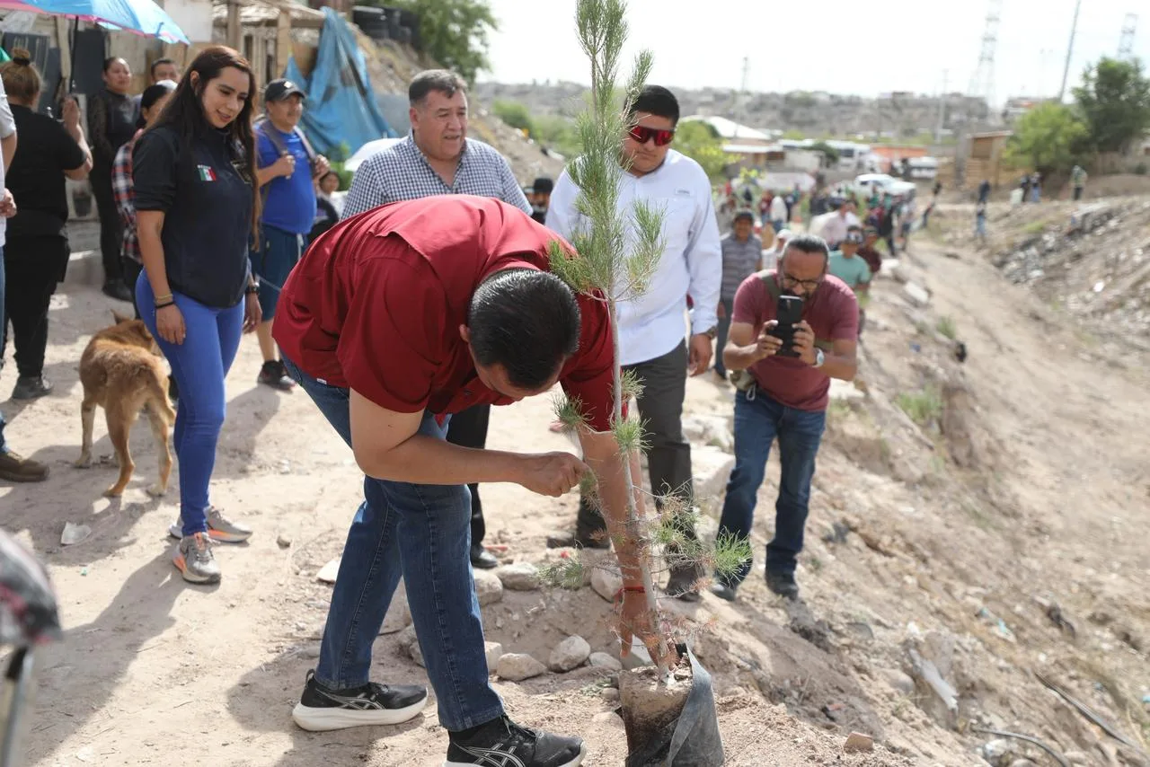 Juárez refuerza limpieza y reforestación en colonia Juanita Luna - imagen 6