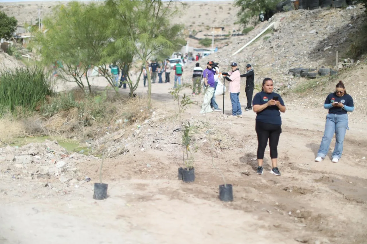 Juárez refuerza limpieza y reforestación en colonia Juanita Luna - imagen 12