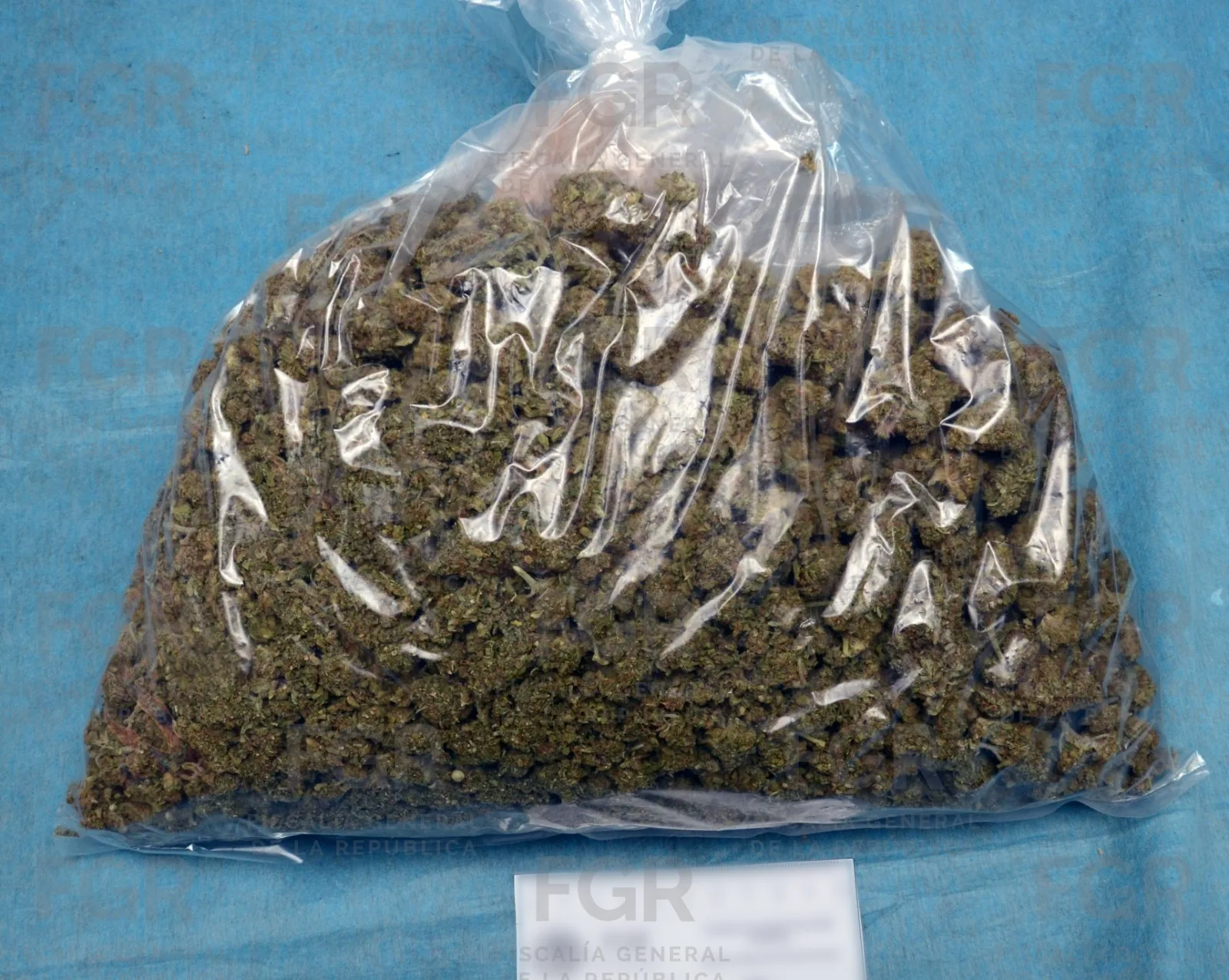 Sentencia de prisión para dos personas en Zacatecas por delitos con armas y drogas - imagen 2