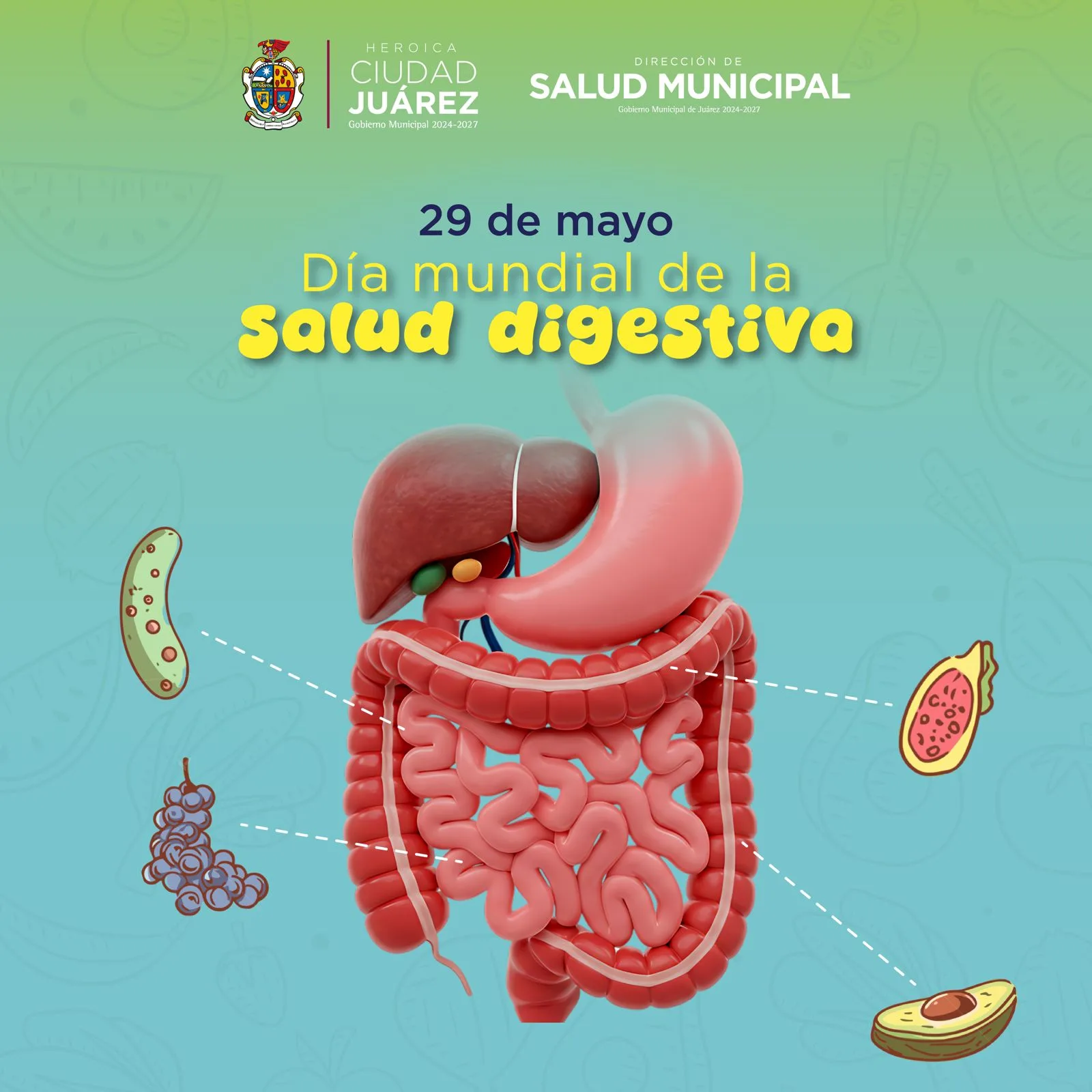 Día Mundial de la Salud Digestiva: consejos para prevenir la acidez y enfermedades gastrointestinales en Juárez