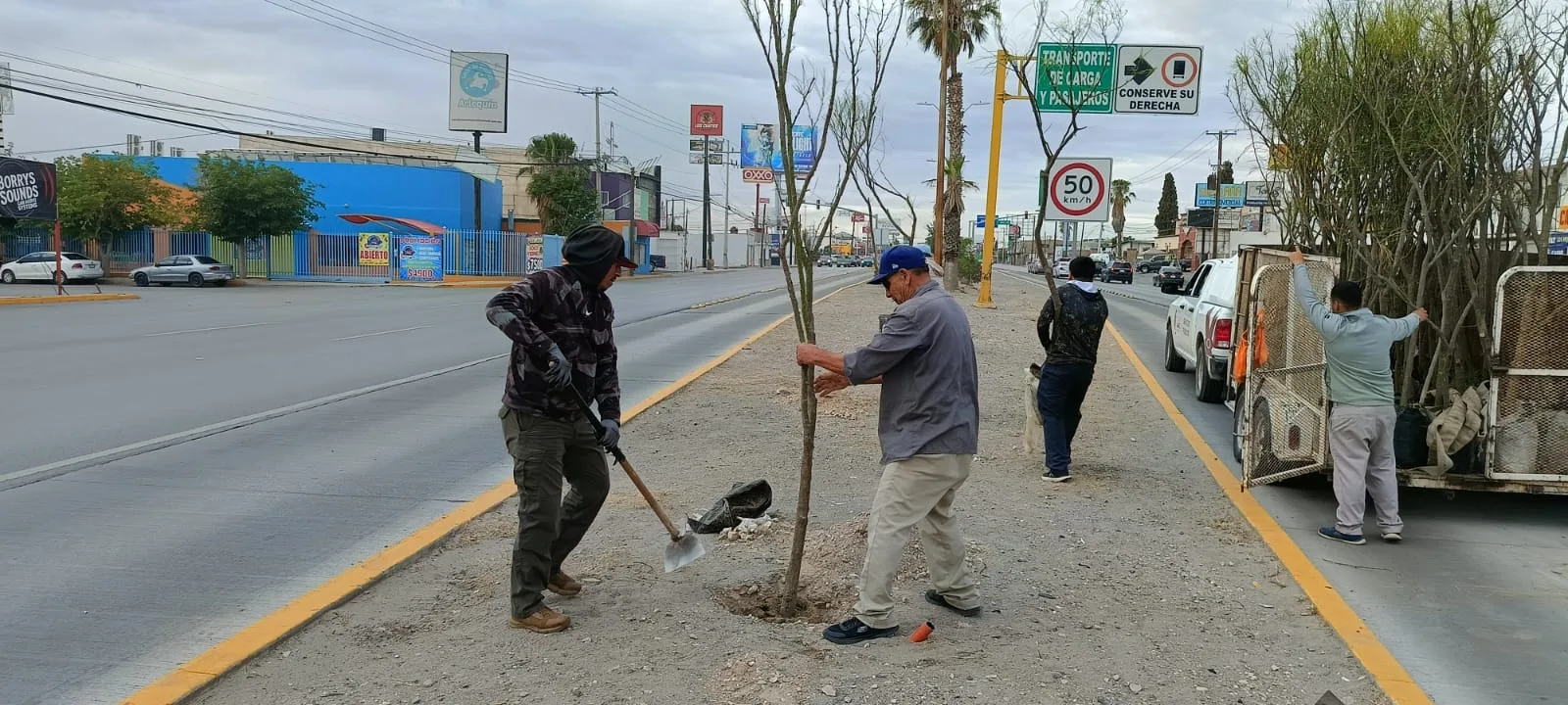 Reforestan avenida Tecnológico con 80 árboles para mejorar áreas verdes en Ciudad Juárez