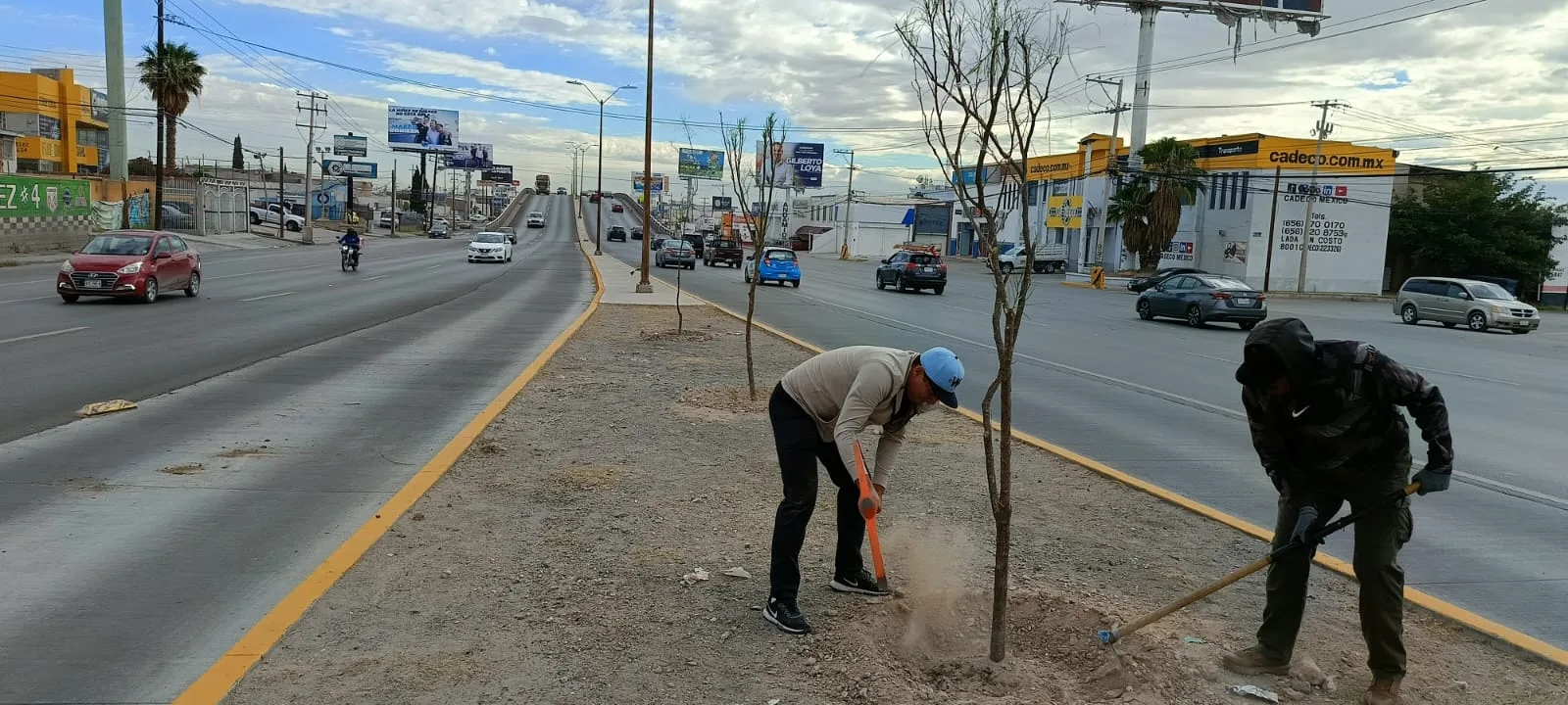 Reforestan avenida Tecnológico con 80 árboles para mejorar áreas verdes en Ciudad Juárez - imagen 5