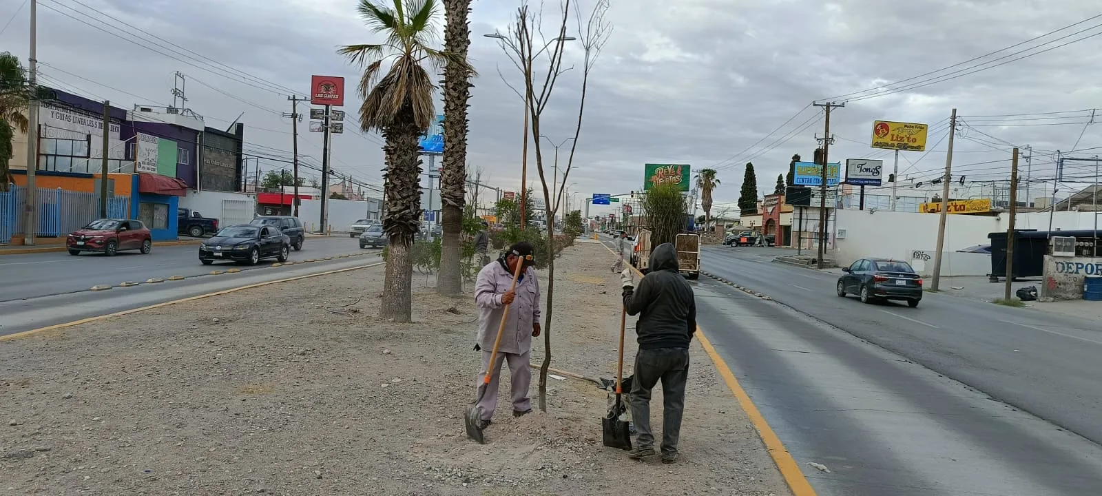 Reforestan avenida Tecnológico con 80 árboles para mejorar áreas verdes en Ciudad Juárez - imagen 6