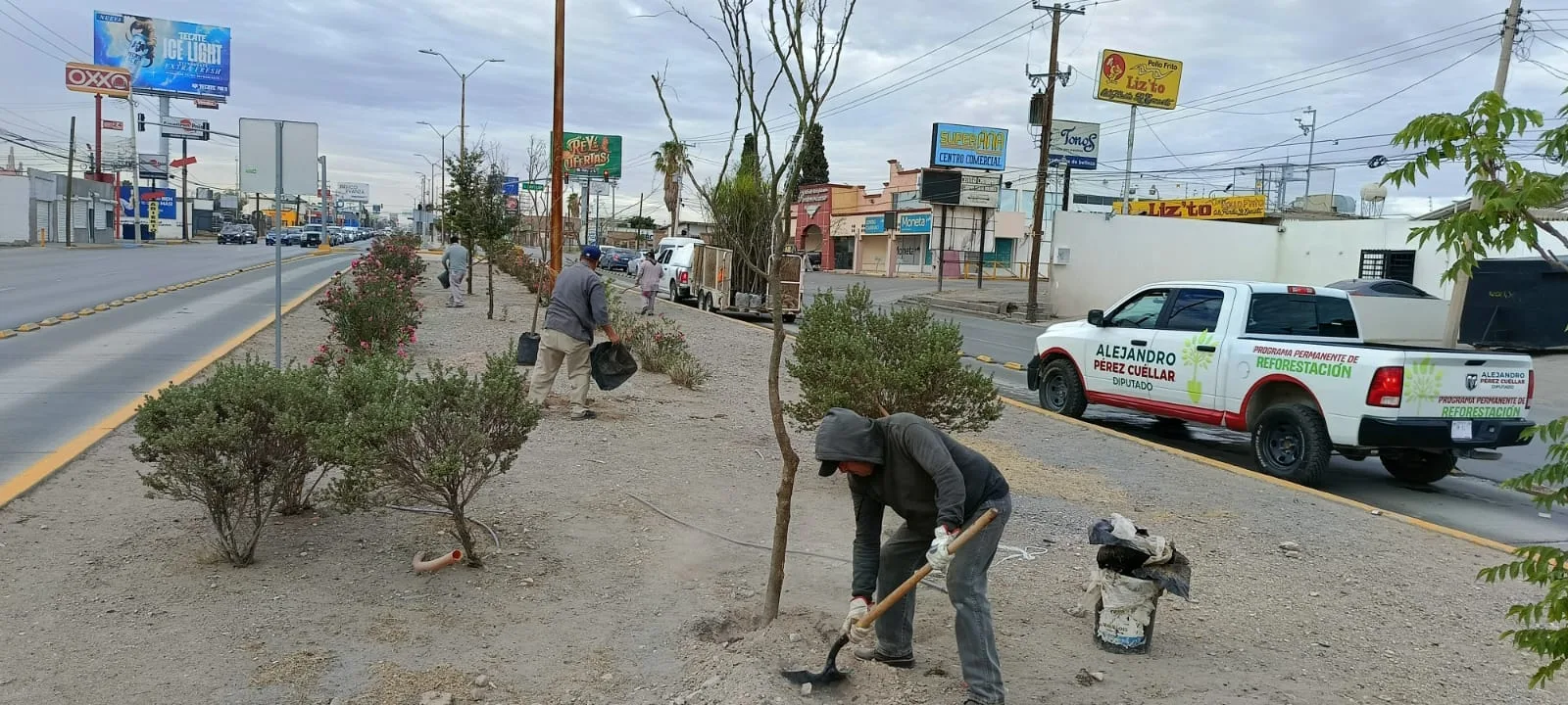 Reforestan avenida Tecnológico con 80 árboles para mejorar áreas verdes en Ciudad Juárez - imagen 8