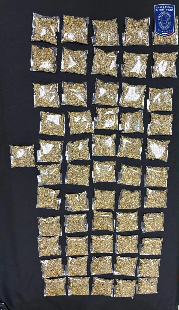 Detienen en Ciudad Juárez a un hombre con casi medio kilo de mariguana en Infonavit Casas Grandes - imagen 1