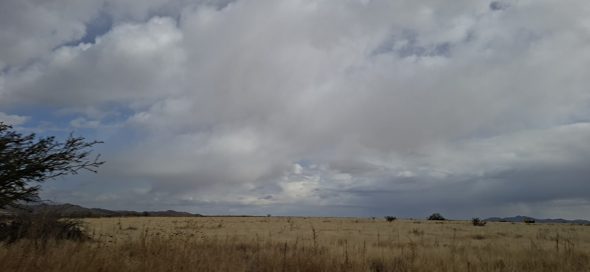 Protección Civil alerta por fuertes vientos, tolvaneras y lluvias aisladas en Chihuahua - imagen 3