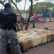 FGR asegura más de 4,500 litros de hidrocarburo en Veracruz durante operativo contra delitos relacionados con combustible - imagen 7