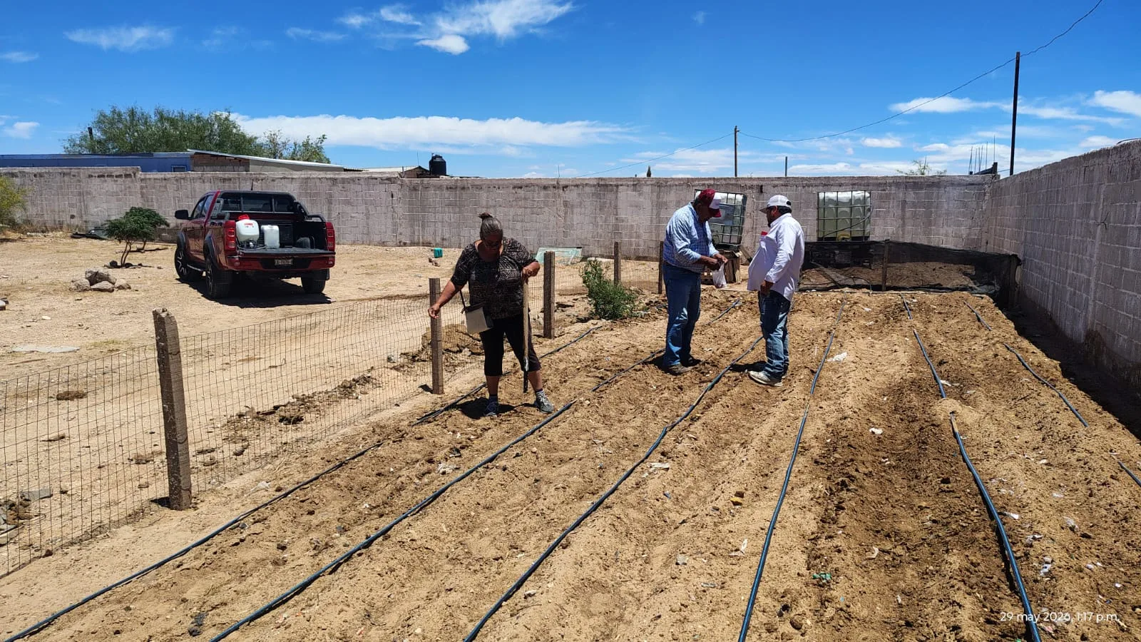 Desarrollo Rural planea expandir huertos familiares en comedores infantiles de Los Kilómetros para 2027 - imagen 1