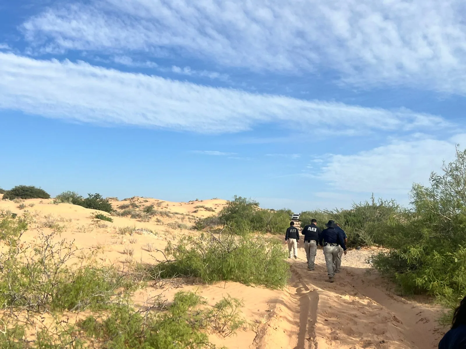 Continúa la búsqueda de Esmeralda Castillo Rincón en Arroyo del Navajo, en el Valle de Juárez - imagen 1