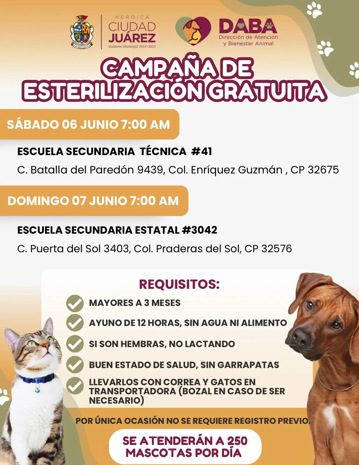 DABA realizará campaña gratuita de esterilización y microchip en colonias Enríquez Guzmán y Praderas del Sol